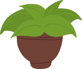 Plant In Pot