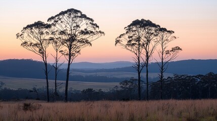 Silhouetted trees at sunset over a tranquil valley.