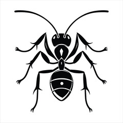 Insect Vector Icon Black White Silhouette