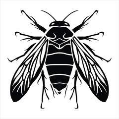 Insect Vector Icon Black White Silhouette