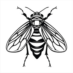 Insect Vector Icon Black White Silhouette