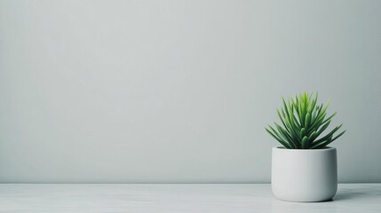 Desk with green plants, modern simplicity