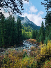 Cascade Canyon Trail in Grand Teton National Park, Wyoming USA