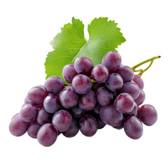 Fototapeta premium Fresh Purple Grapes with Green Leaves for Healthy Eating and Fruit Consumption