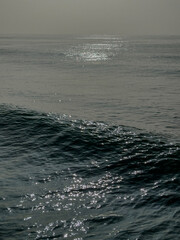 sunlight sparkling on the ocean’s surface
