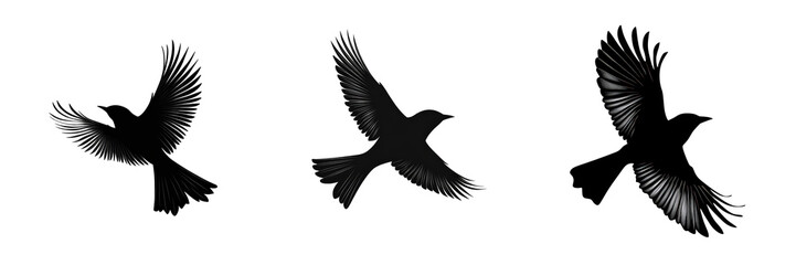 Fototapeta premium Silhouetted Birds in Flight Against a Minimalist Background Capturing the Essence of Freedom and Graceful Movement