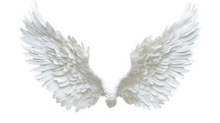 Obraz premium Angel wings transparent background