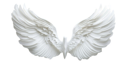 Fototapeta premium Angel wings transparent background