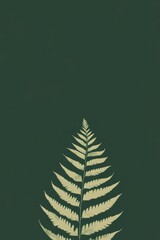 A close-up of a fern leaf against a dark background.
