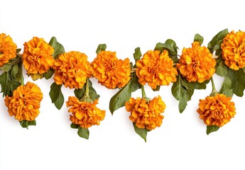 Vibrant Orange Marigold Flowers with Lush Green Leaves on White Background, Perfect for Decorative Arrangements and Seasonal Celebrations