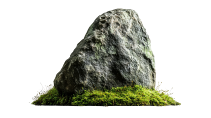 Tall rock with moss transparent background