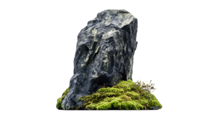 Tall rock with moss transparent background