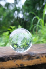 Crystal Clear Glass Ball Reflecting Lush Greenery in Natural Outdoor Setting