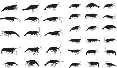 Krill Silhouette for Oceanic and Aquatic Life-Themed Art