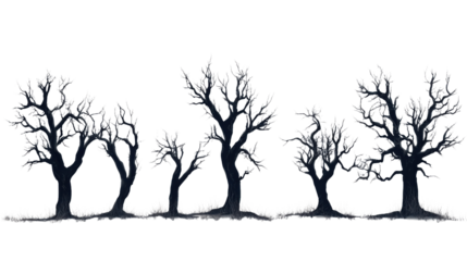 Spooky tree transparent background