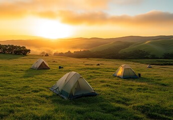 a group of tents set up in a meadow with a bright atmosphere