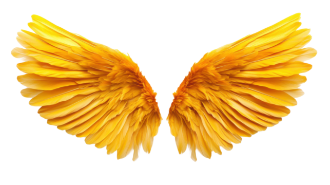 Angel wings transparent background
