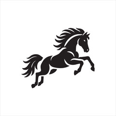 horse isolated on white background