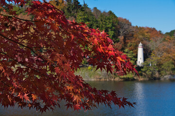埼玉県のメッツァ宮沢湖の紅葉