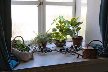 北欧風の家のインテリア