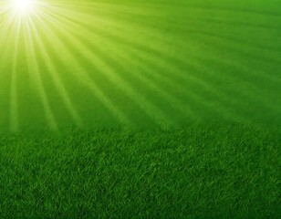 Obraz premium Sunbeams Illuminate Lush Green Grass Field