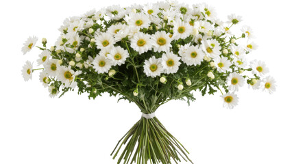 Fototapeta premium Small bouquet of daisies transparent background