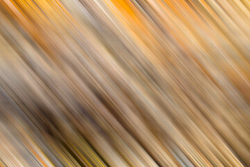 Abstract elegant golden gradient on smooth diagonal motion graphic textures design wallpaper background. Copy space.