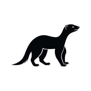 Otter + squrrel selotte 2