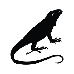 Weasel nejal selotte vector design