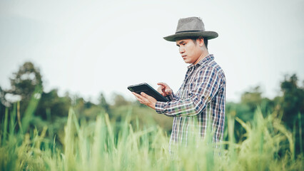 Happy Asian male farmer in the field Wear a hat and carry a smart tablet to track plant growth and disease. The concept of smart farmers using technology