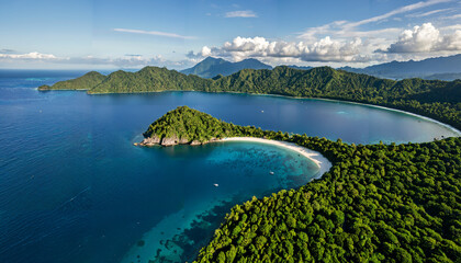 Vue aérienne d'une plage paradisiaque entourée de forêts luxuriantes