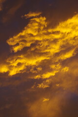 黄金の雲2 K3DP1433