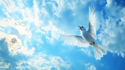 Fototapeta premium A soaring white bird against a bright blue sky with fluffy clouds.