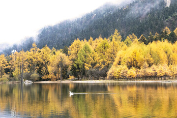 autumn landscape with lake and trees