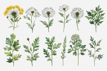 Fototapeta premium a close up of a bunch of flowers on a white background