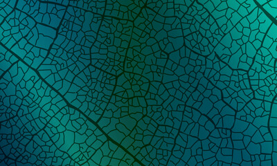 Dark green vintage of cracked concrete scribble effect, old wall background crack grunge texture. soft color.