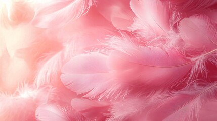 Obraz premium A soft pink feather background ideal for invitations, greeting cards, or marketing materials for baby showers, weddings, and feminine-themed events.