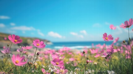 Obraz premium Beautiful scenery of flower field with blue sky landscape