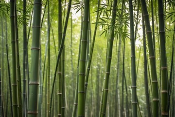 Fototapeta premium arafed bamboo trees in a forest with green leaves