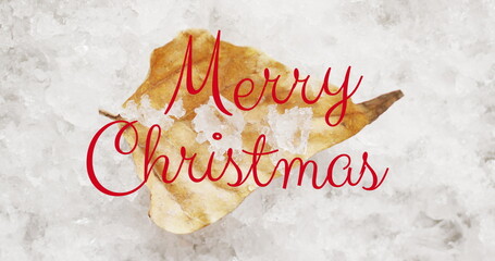 Image of christmas greetings text over christmas leaf and snow © vectorfusionart
