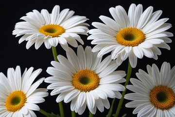 Obraz premium there are many white flowers in a vase on a table