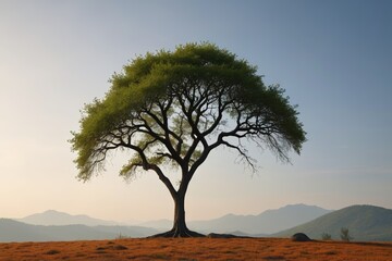 there is a lone tree on a hill with mountains in the background
