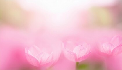 Fototapeta premium Soft Pink Blossom Dream: A Delicate Floral Fantasy