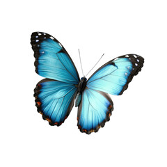 Captivating blue butterfly displaying vibrant colors in nature's habitat under bright light