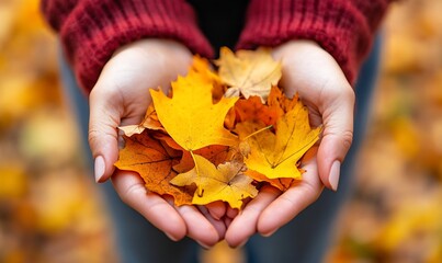 Hands holding autumn leaves in a forest setting, perfect for fall themes