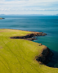 View of the coast of the river from above