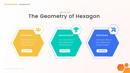 Hexagonal Infographic for Business and Startup