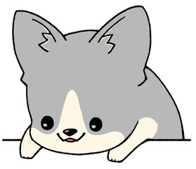 Illustration of a corgi peering down from above