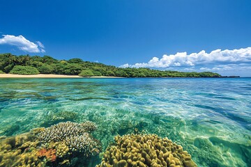Fototapeta premium Tropical beach, coral reef, clear water, island paradise, summer vacation