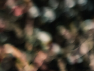 Abstract bokeh